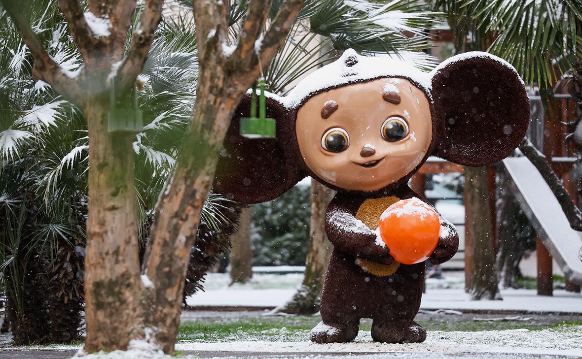 Фото: Дмитрий Феоктистов / ТАСС