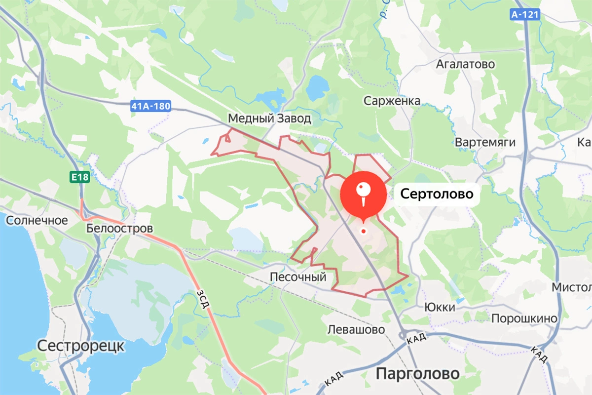 Грибы здесь можно найти прямо у черты города