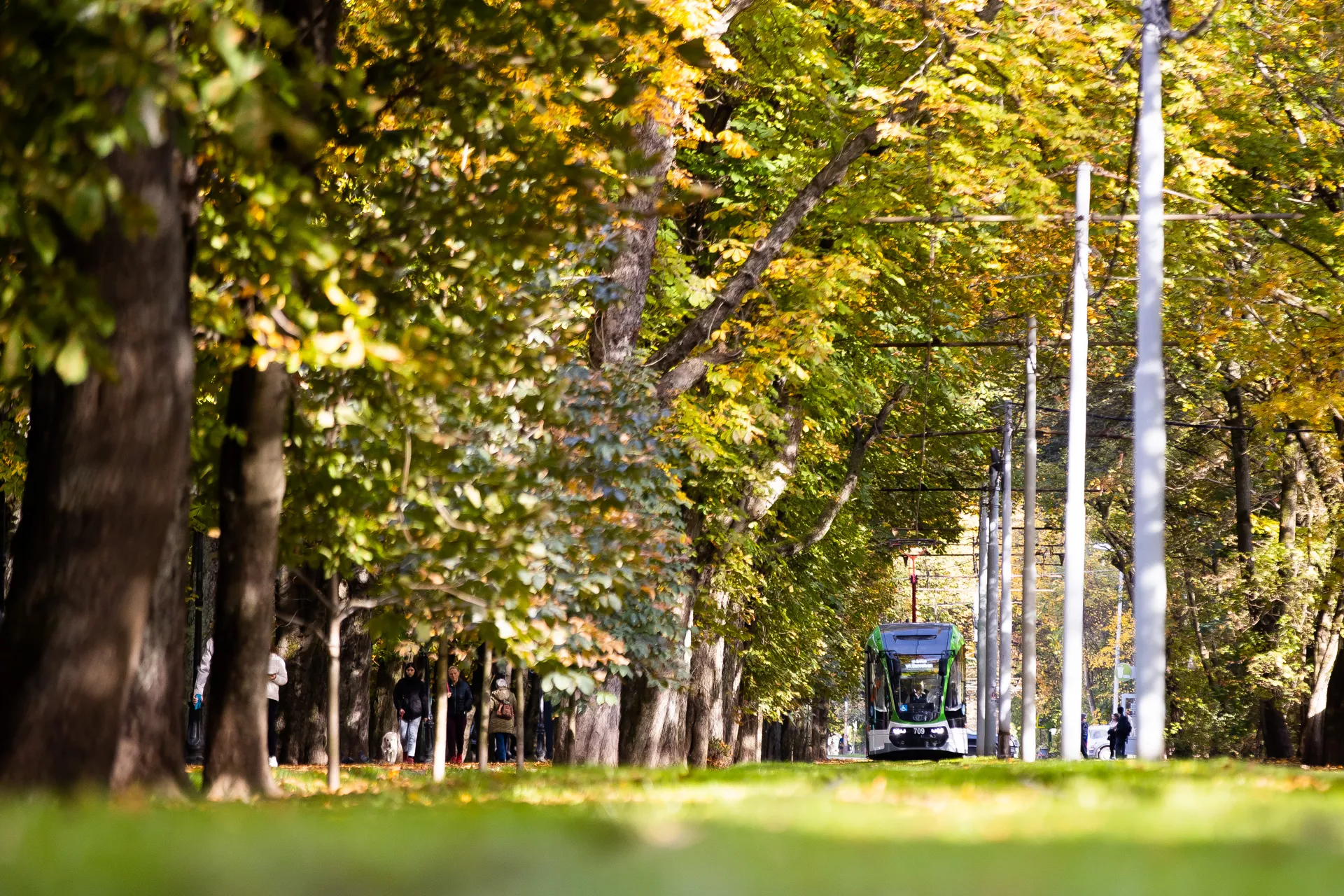 Александр Подгорчук