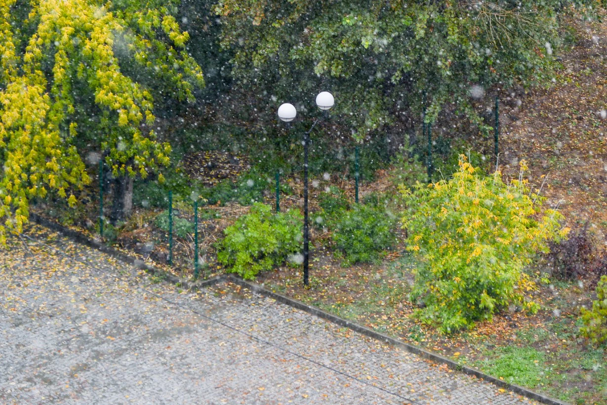 Вадим Ахметов / РИА URA.RU