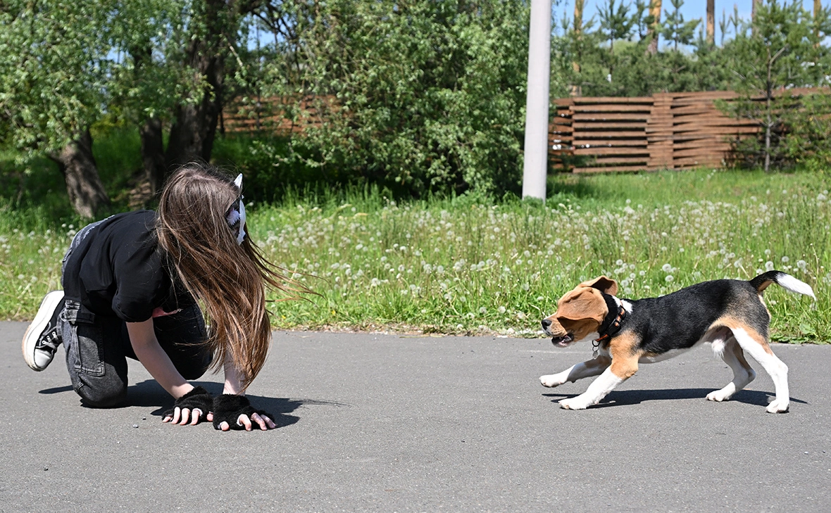 Максим Богодвид / РИА Новости