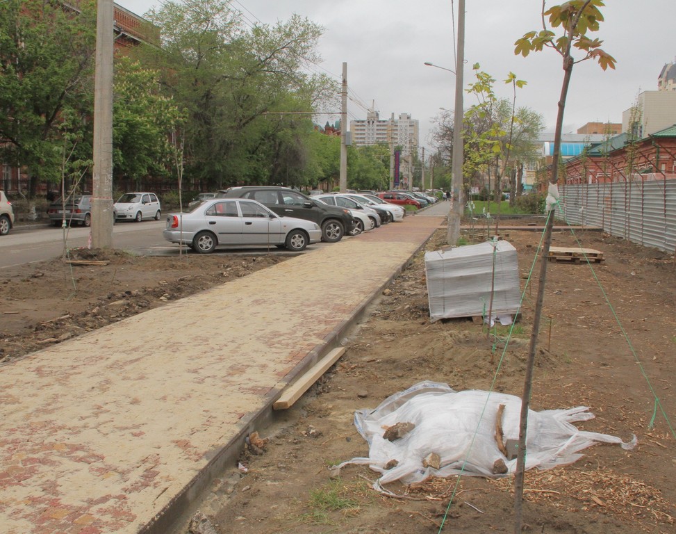 В Волгограде компенсационные высадки деревьев для бизнесменов заменят платой