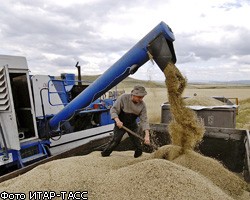 Россия возвращается к практике масштабных закупок зерна