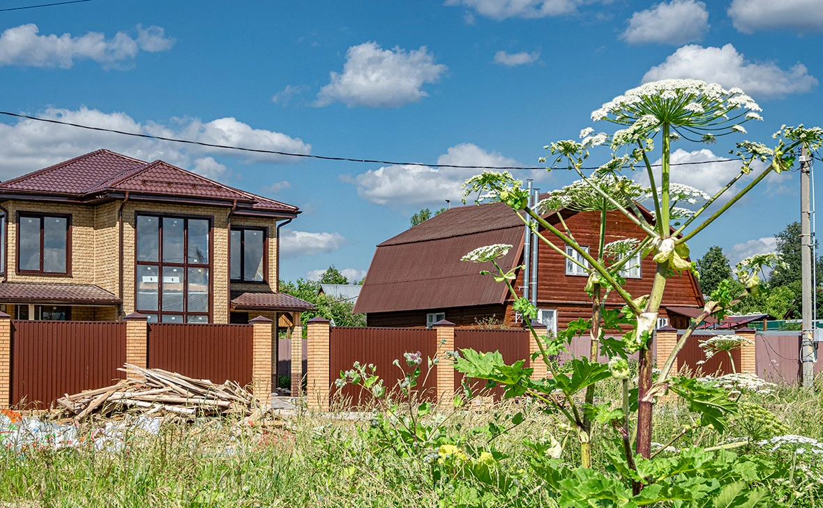 Константин Кокошкин / Global Look Press