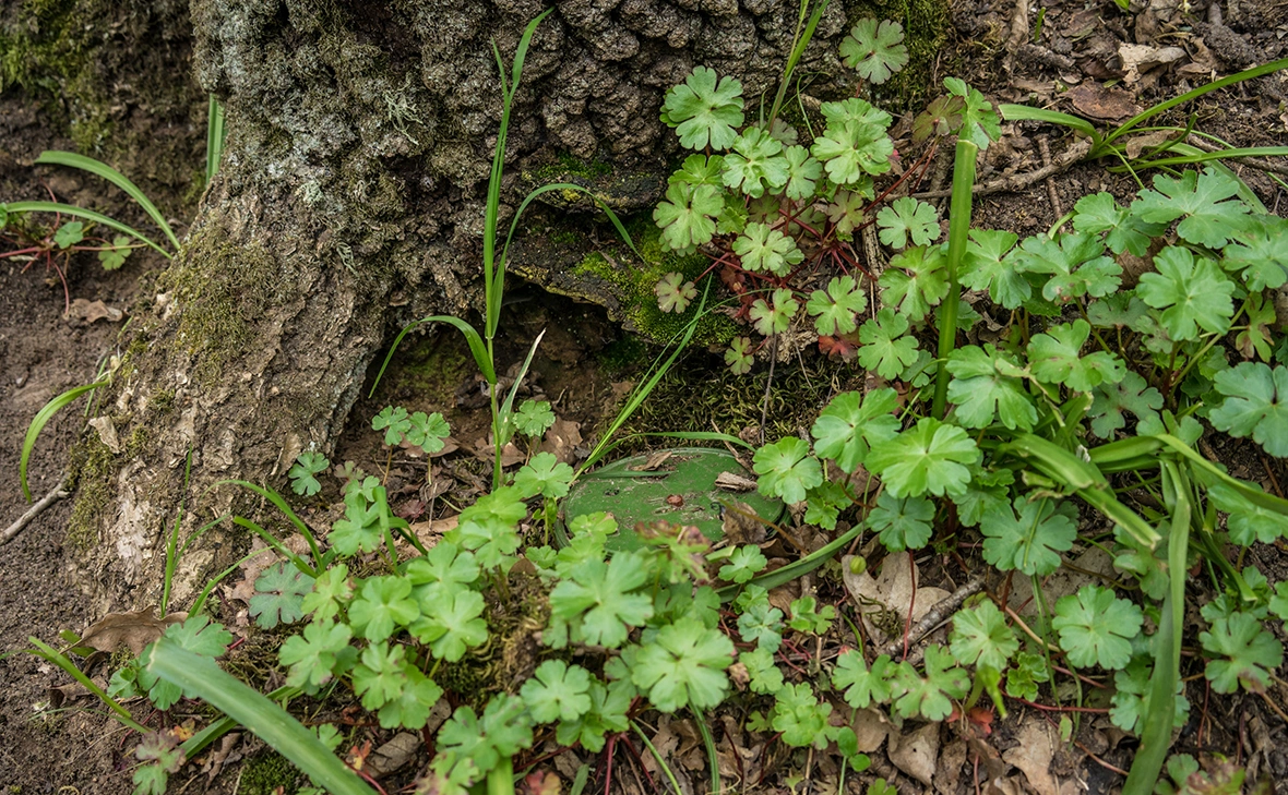 Brendan Hoffman / Getty Images