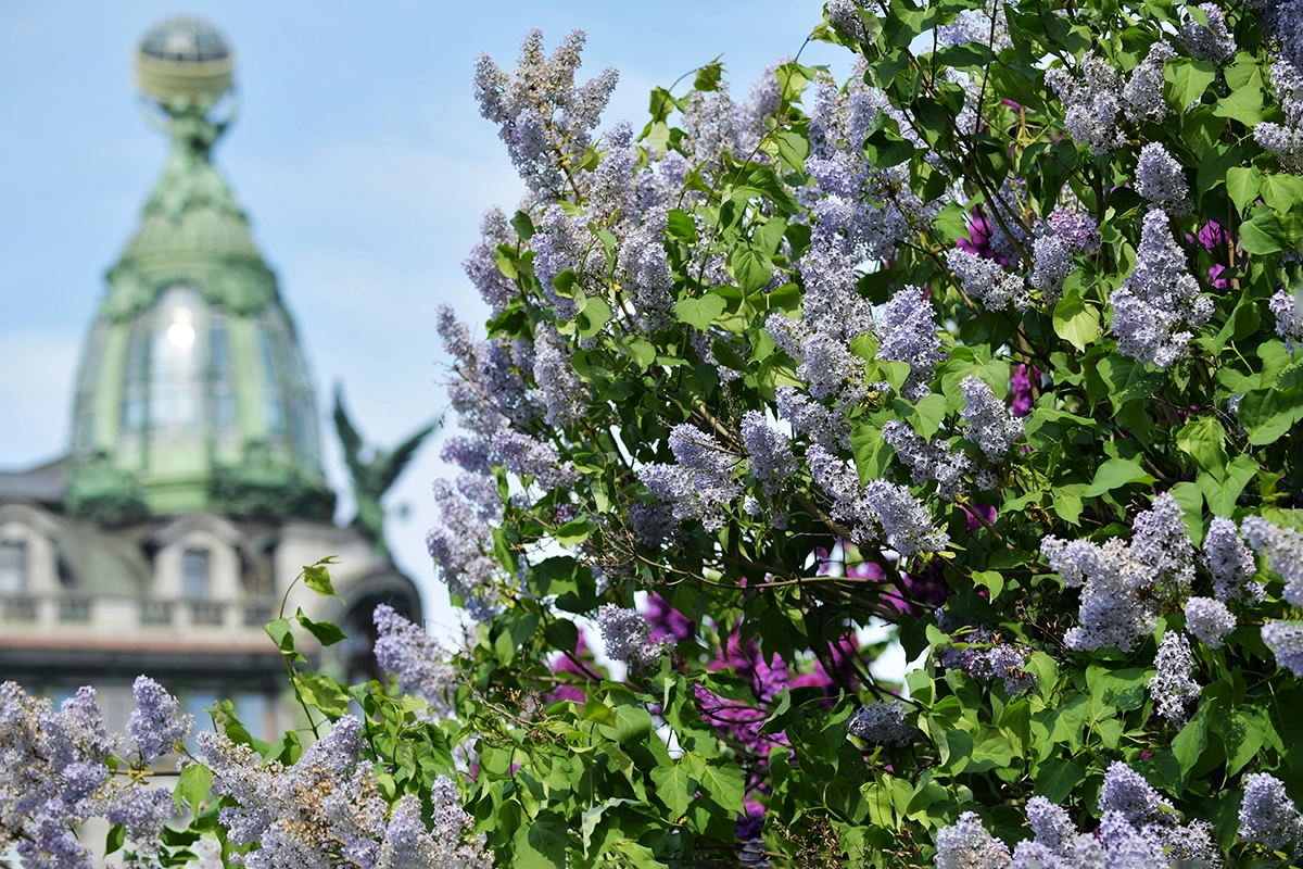 Меры наказания варьируются в зависимости от региона и тяжести ущерба