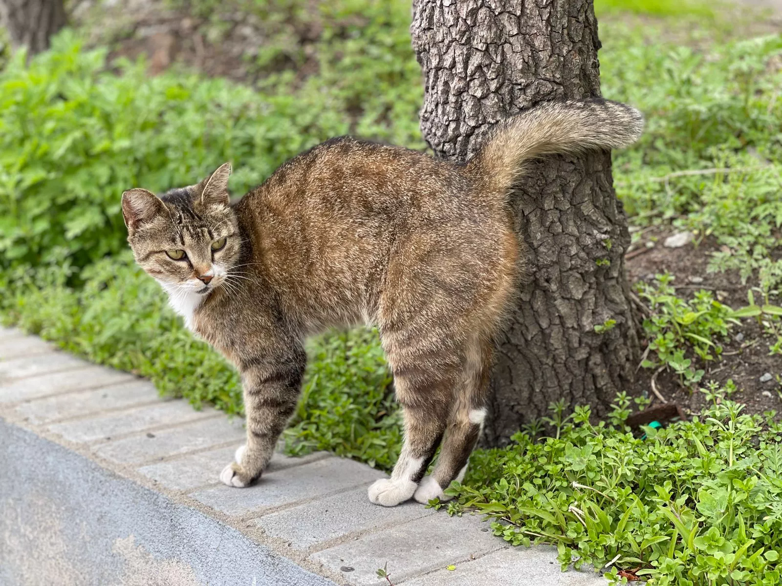 РБК Приморье