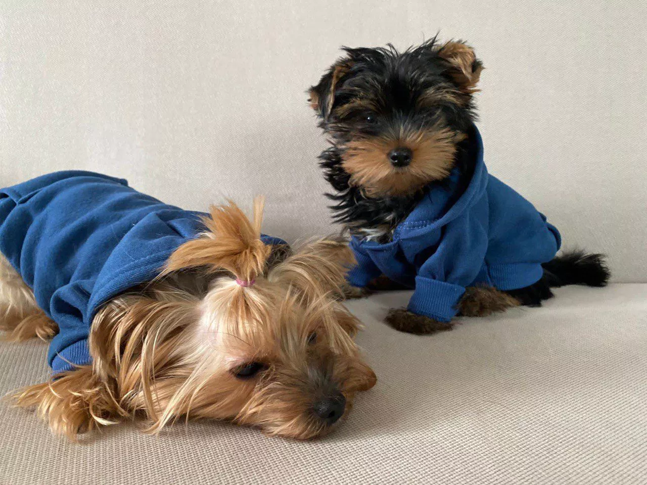 РБК Приморье