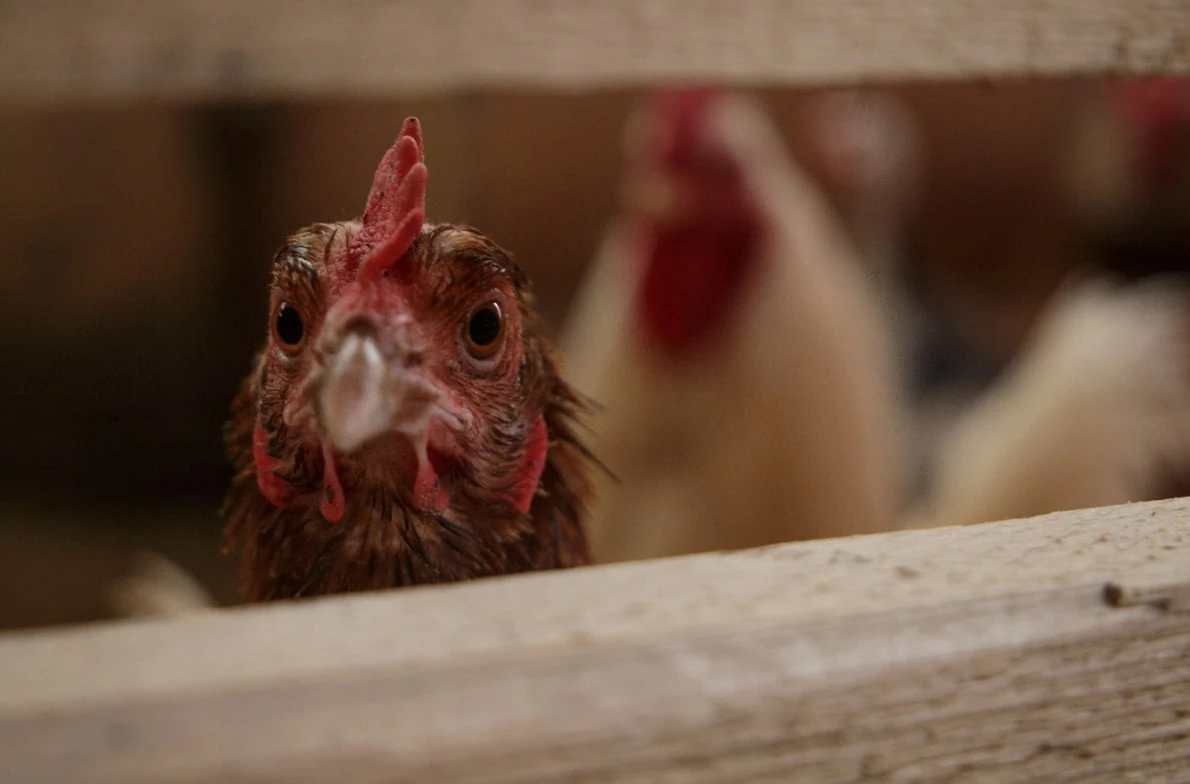 Анастасия Яковлева / РИА URA.RU