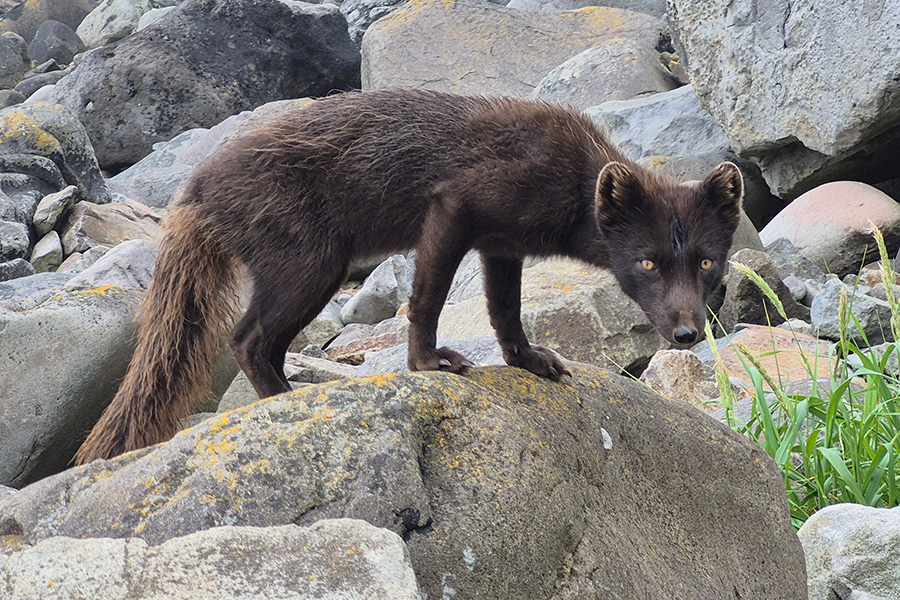 Фото: Дмитрий Клышников