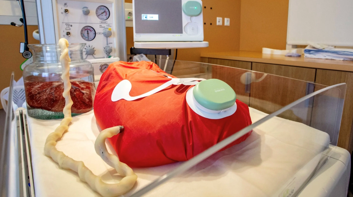 Искусственная матка