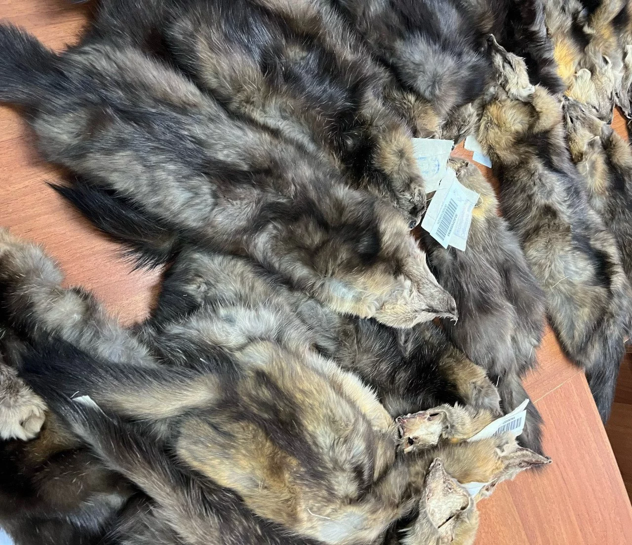 Приморское межрегиональное управление Россельхознадзора