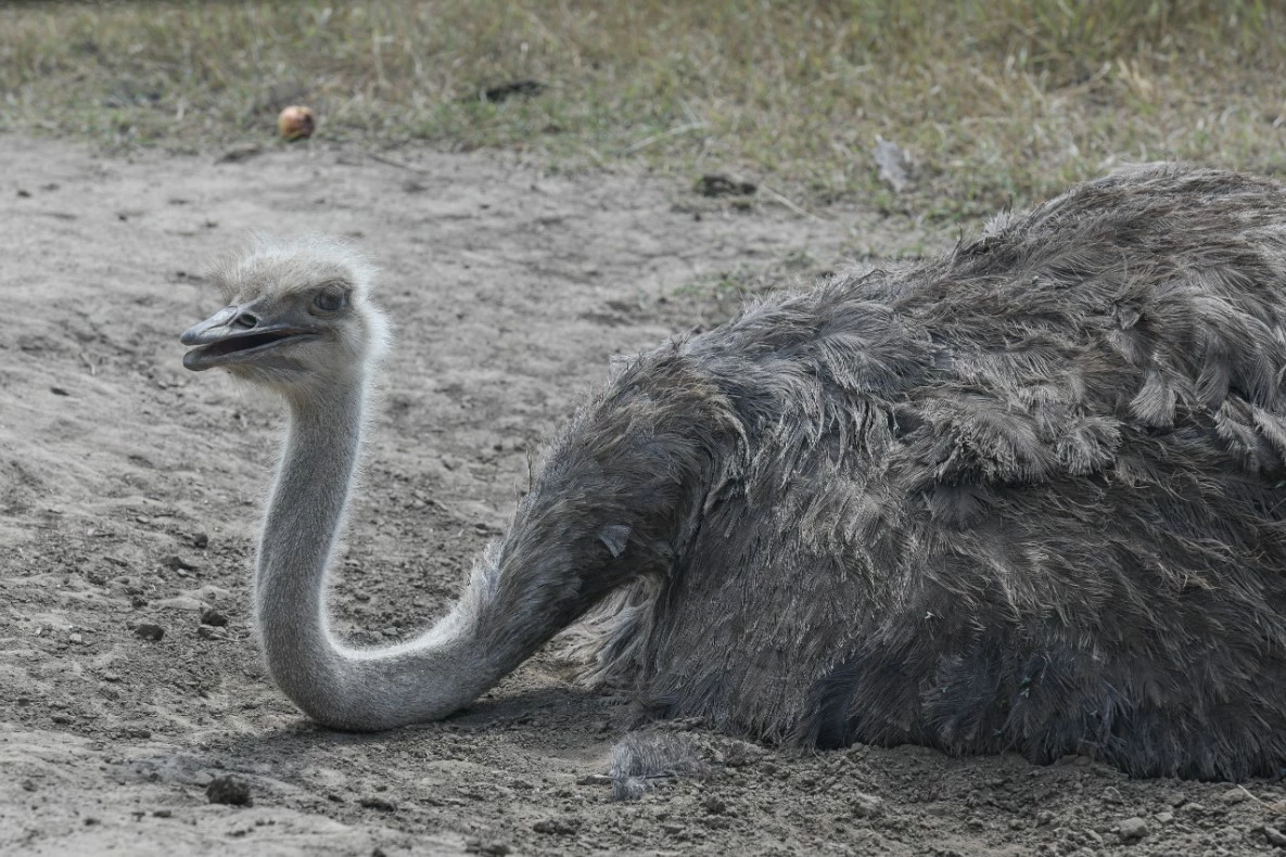 Таисия Воронцова / URA.RU
