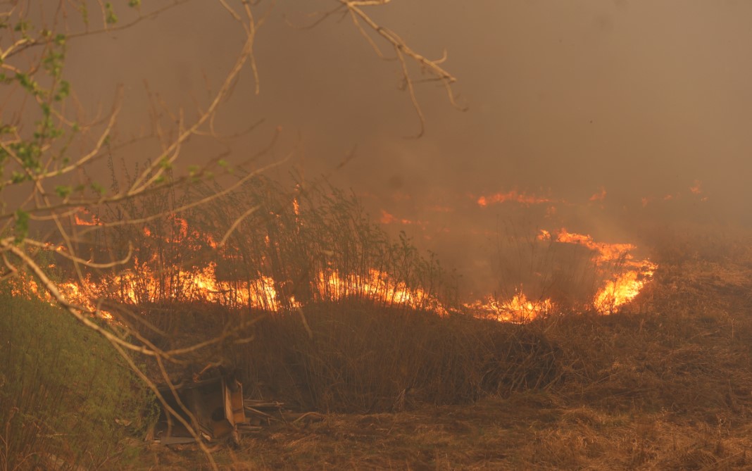 В Тюменском районе произошло загорание травы (архивное фото).