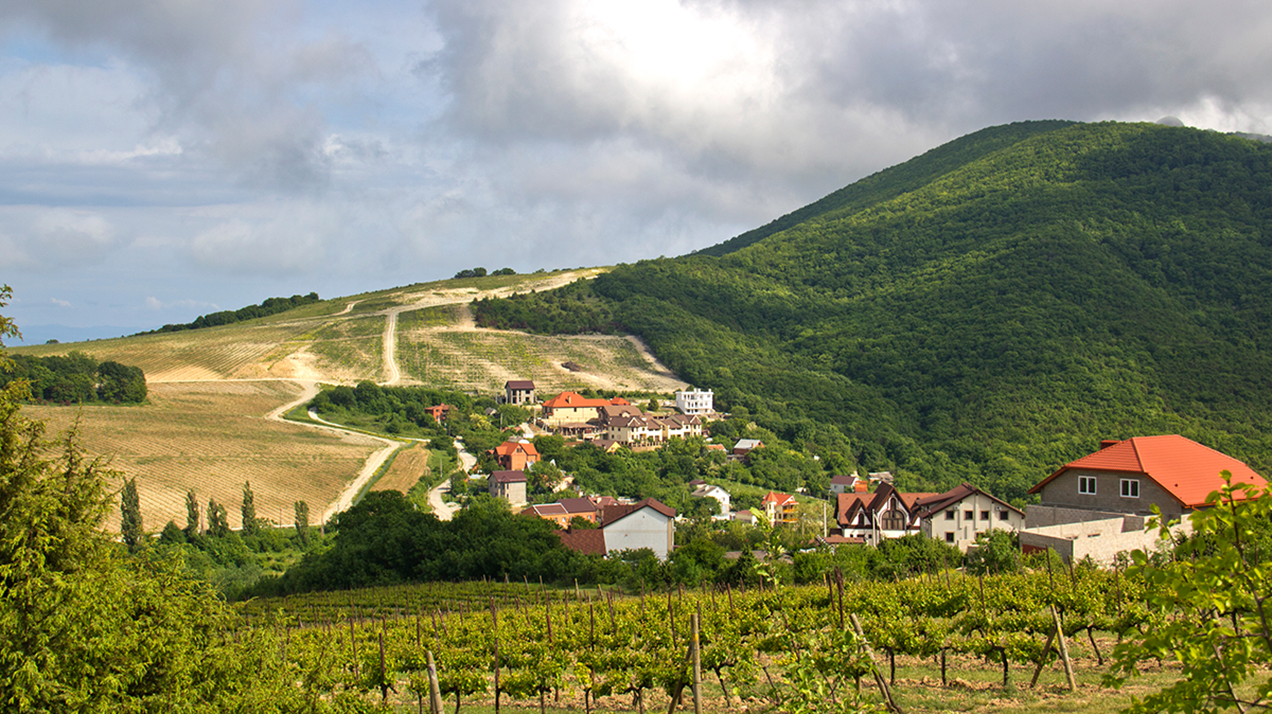 Россияне нарастили бронирования в российских винных регионах на треть