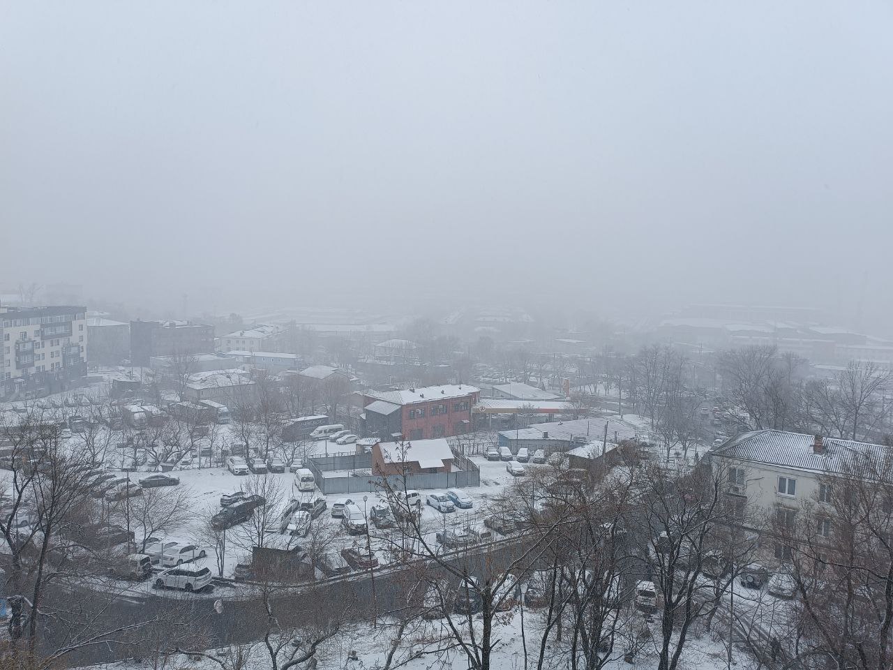 Фото: РБК Приморье