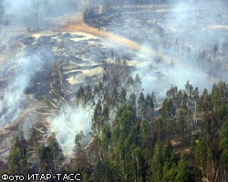 МЧС: Лесные пожары не угрожают Нововоронежской АЭС