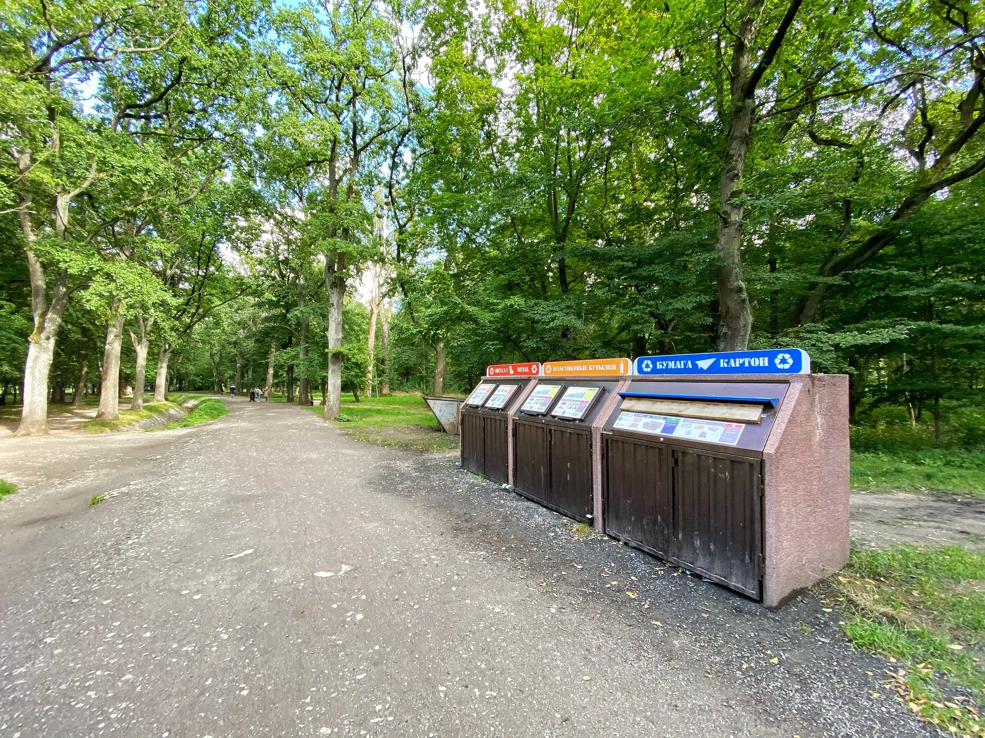Александр Подгорчук