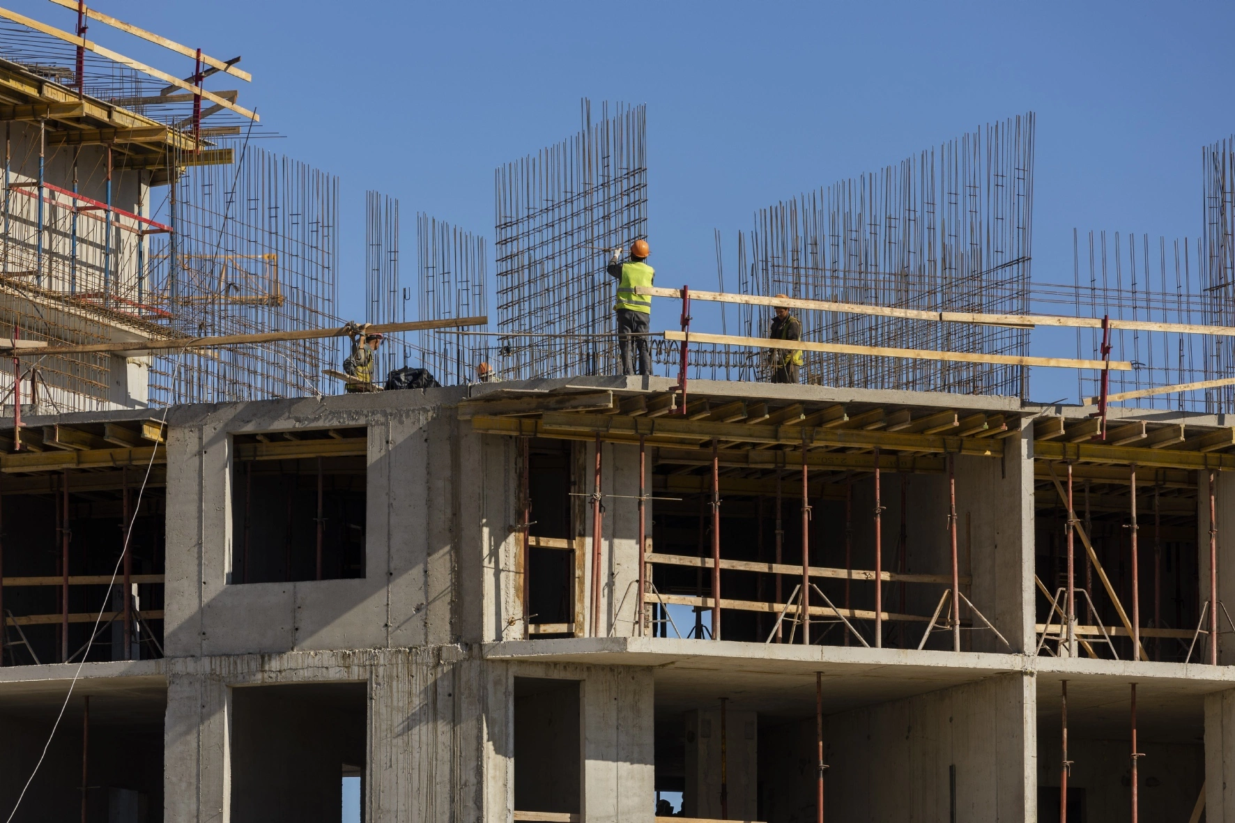 Смышляев Алексей/PhotoXPress.ru