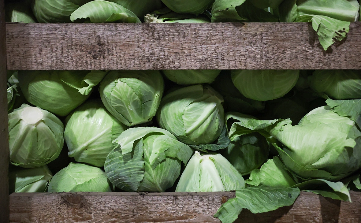 Донат Сорокин / ТАСС