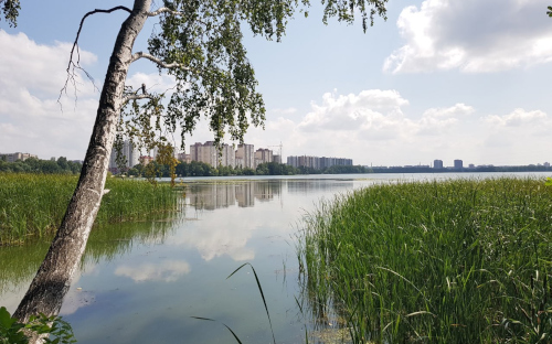 Фото: РБК Черноземье