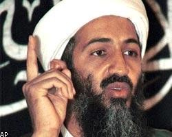 В архивах бен Ладена нашли порнографию