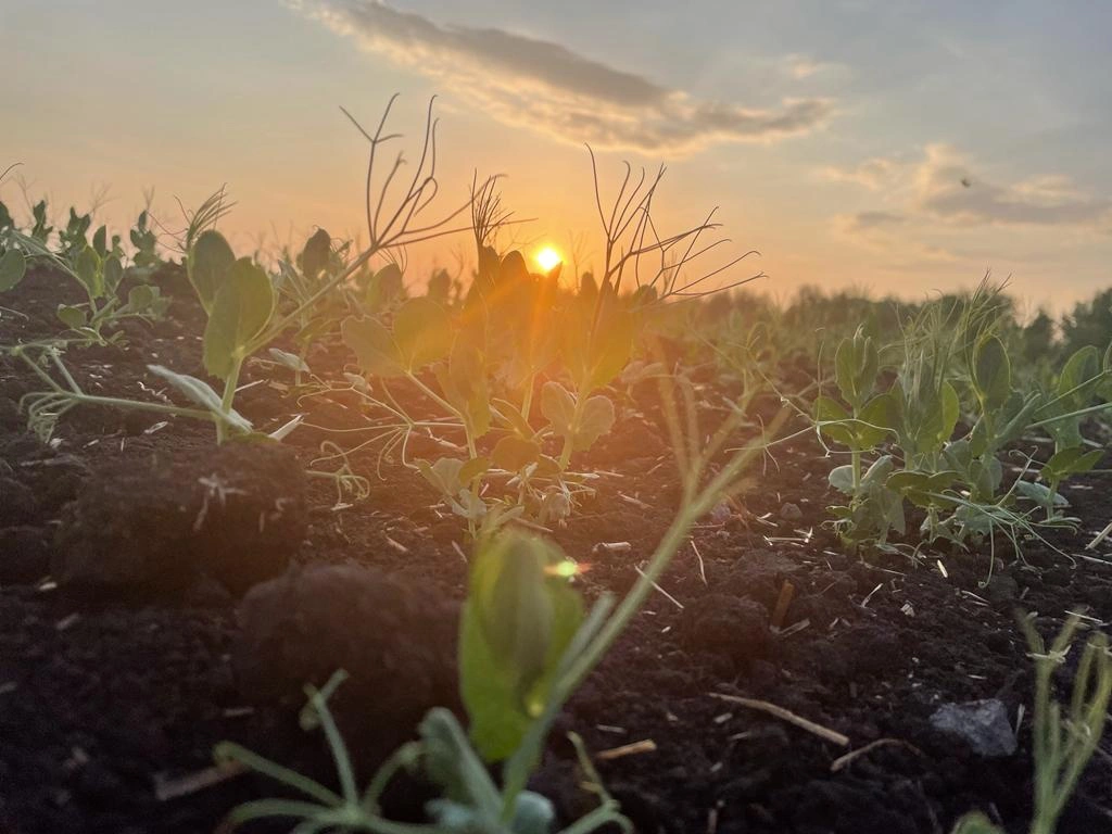 «Юбилейный»