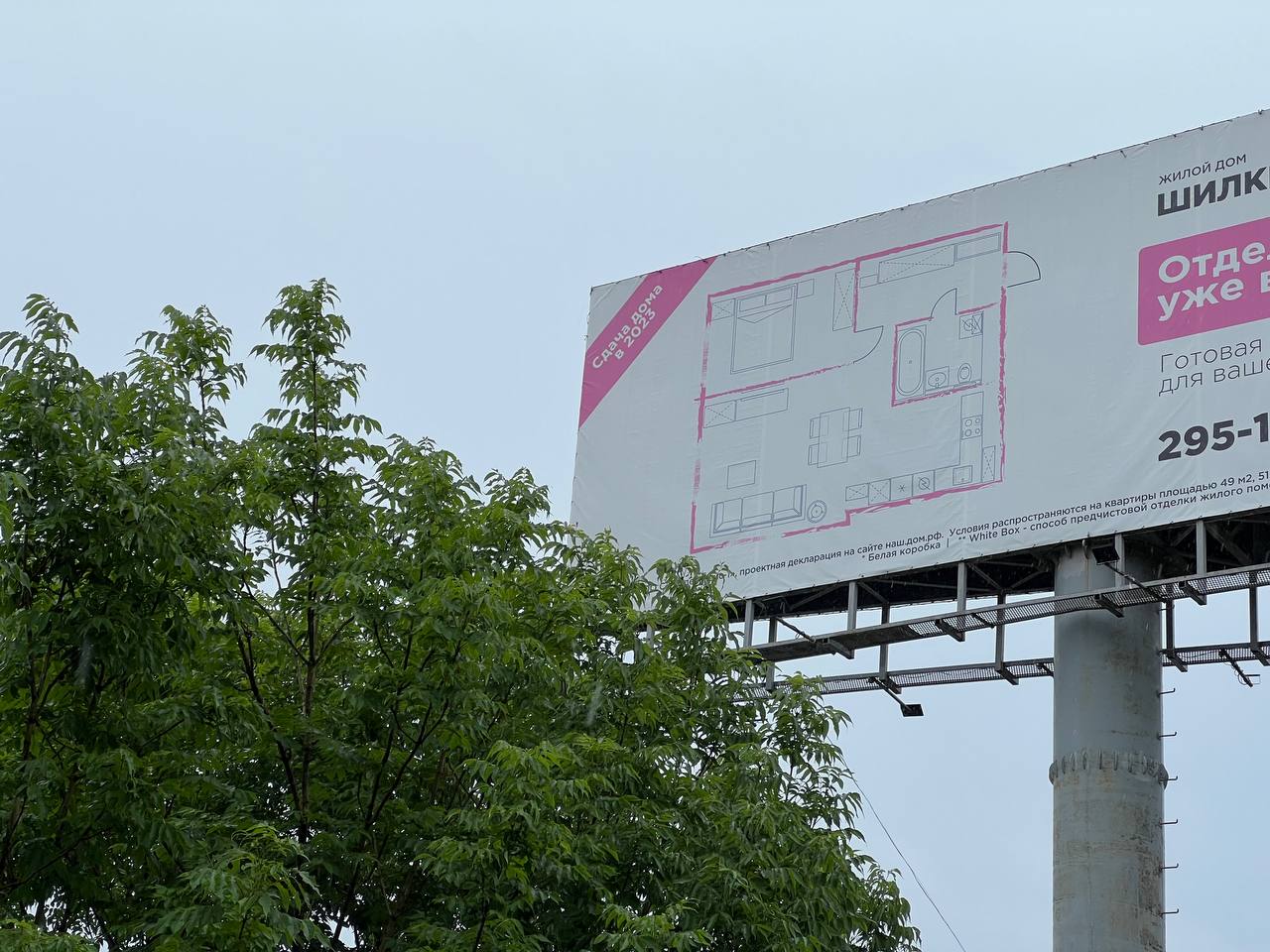 Фото: РБК Приморье