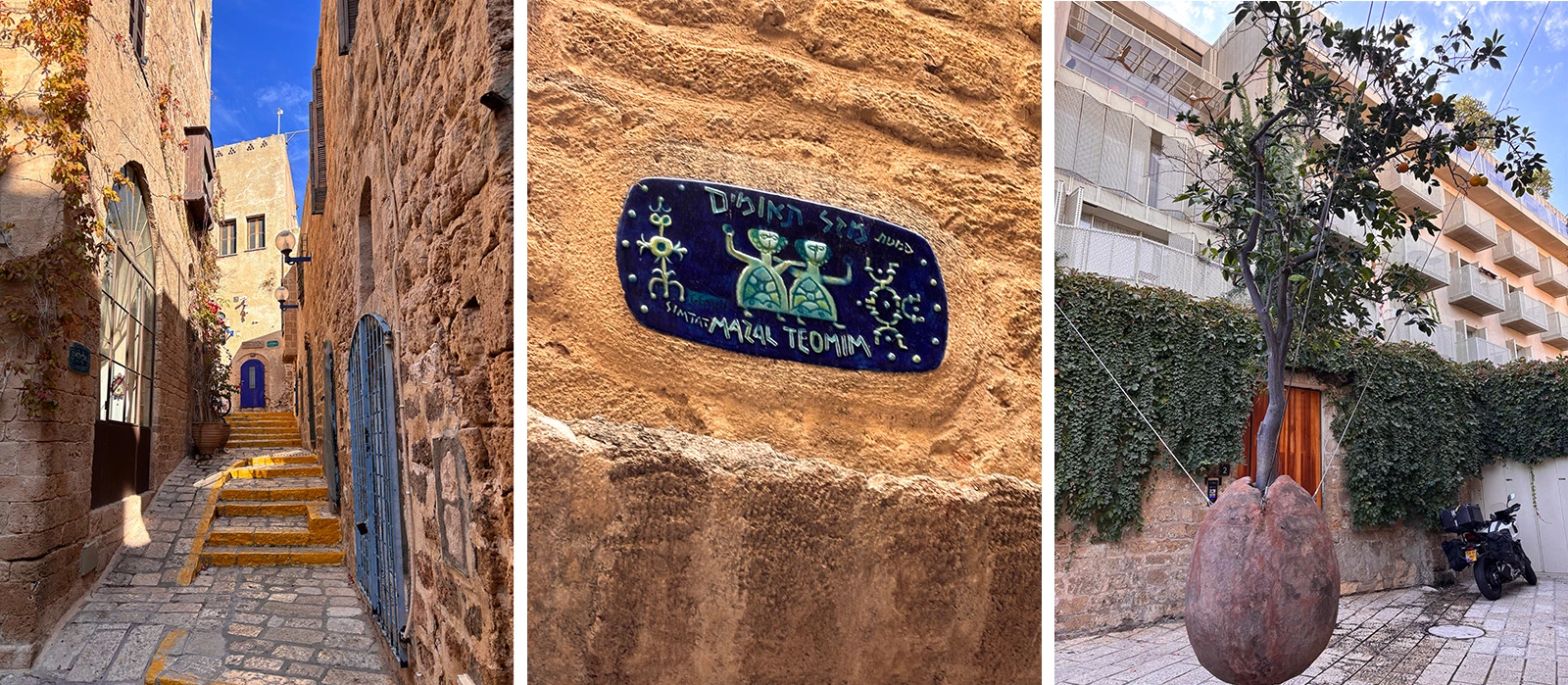 Улочки Старого города и парящее апельсиновое дерево