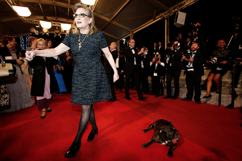 Актриса Кэрри Фишер вместе со&nbsp;своим псом на&nbsp;красной дорожке перед&nbsp;презентацией фильма &laquo;Служанка&raquo;
