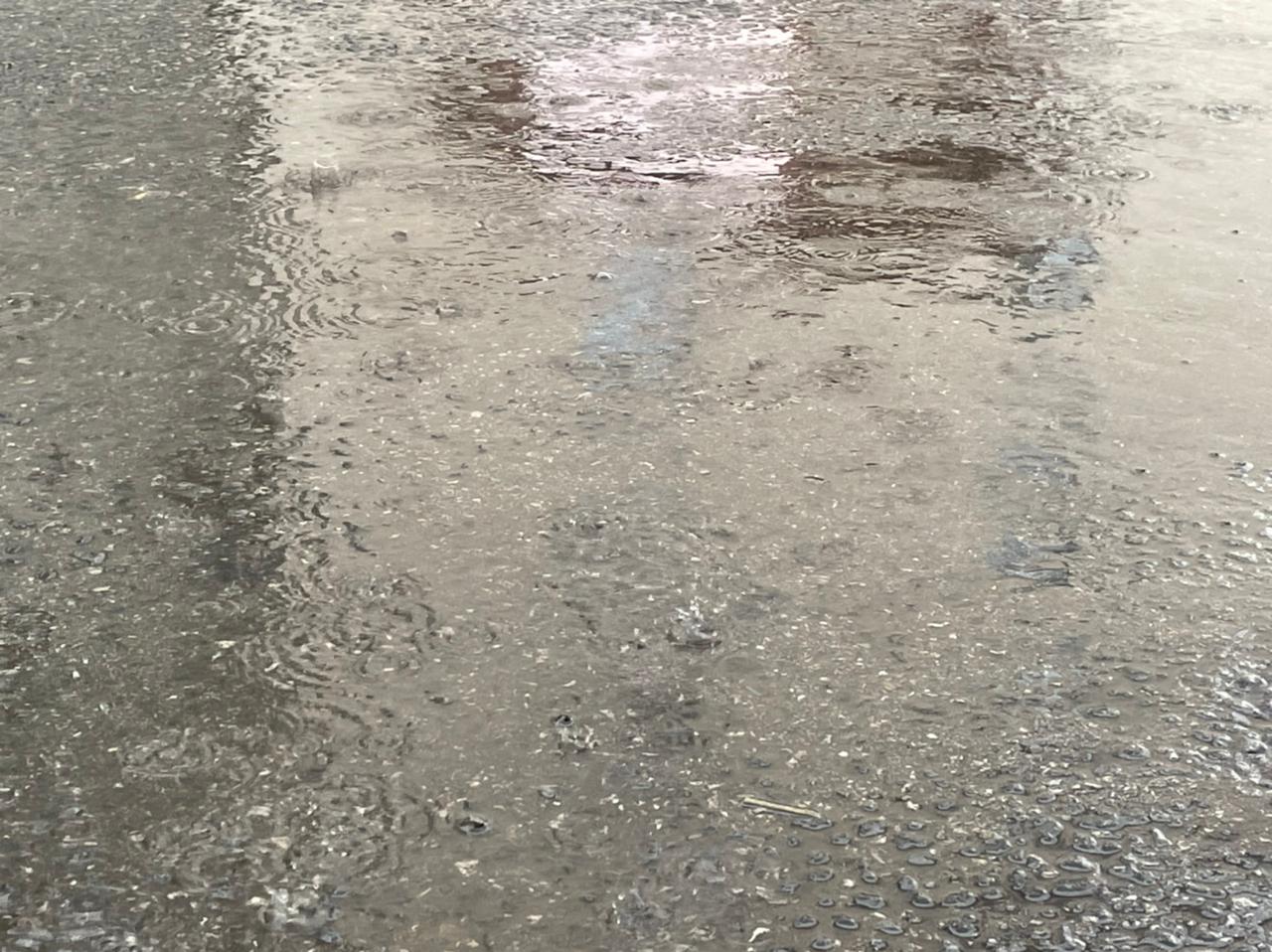 Похолодание и дождь: синоптики рассказали о погоде в Прикамье в выходные