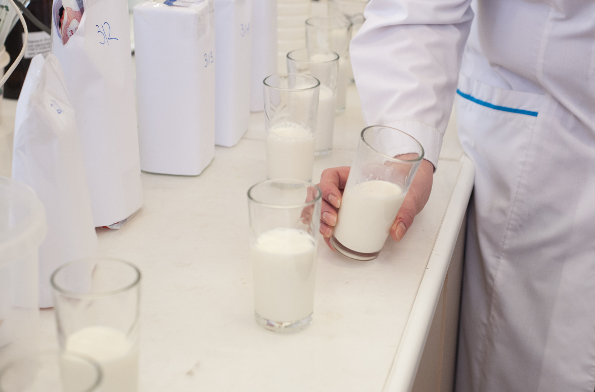 Тюменский предприниматель производил молоко на фантомных фермах