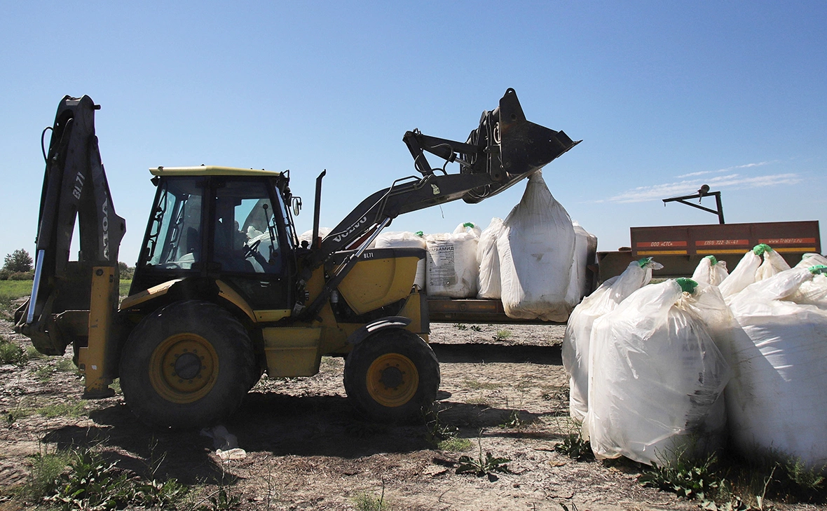 Денис Абрамов / РИА Новости