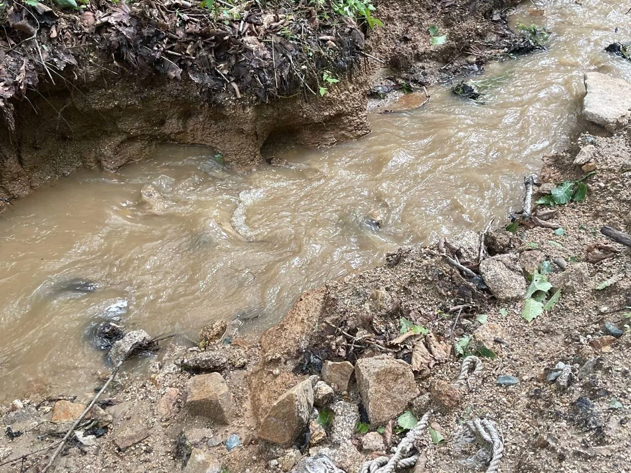 РБК Приморье