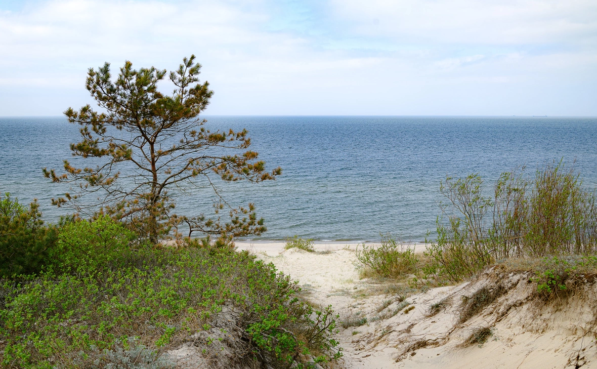 Евгений Стукалин / ТАСС