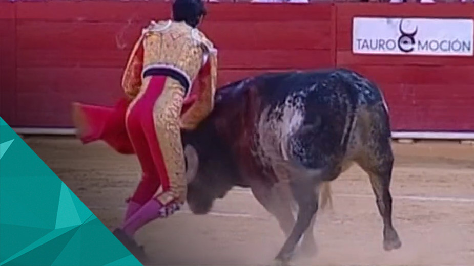 В Испании впервые за 30 лет бык убил тореадора во время корриды
Погиб 29-летний Виктор Баррио. В связи с его смертью исполняющий обязанности премьера страны Мариано Рахой принес свои соболезнования.
