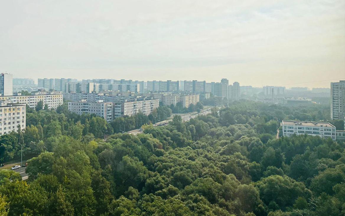 Запах гари от рязанских пожаров дошел до северных районов Москвы