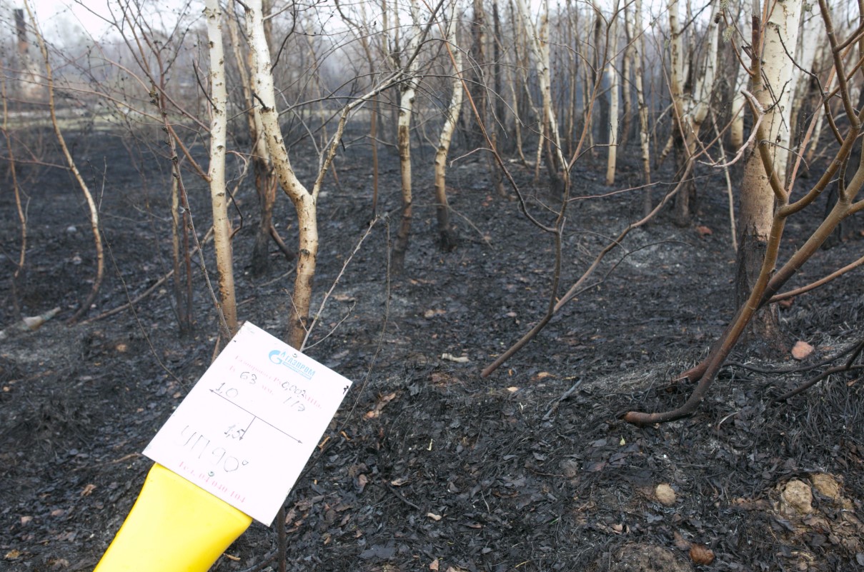 Ущерб от природных пожаров в Тюменской области оценили в 164 млн рублей.