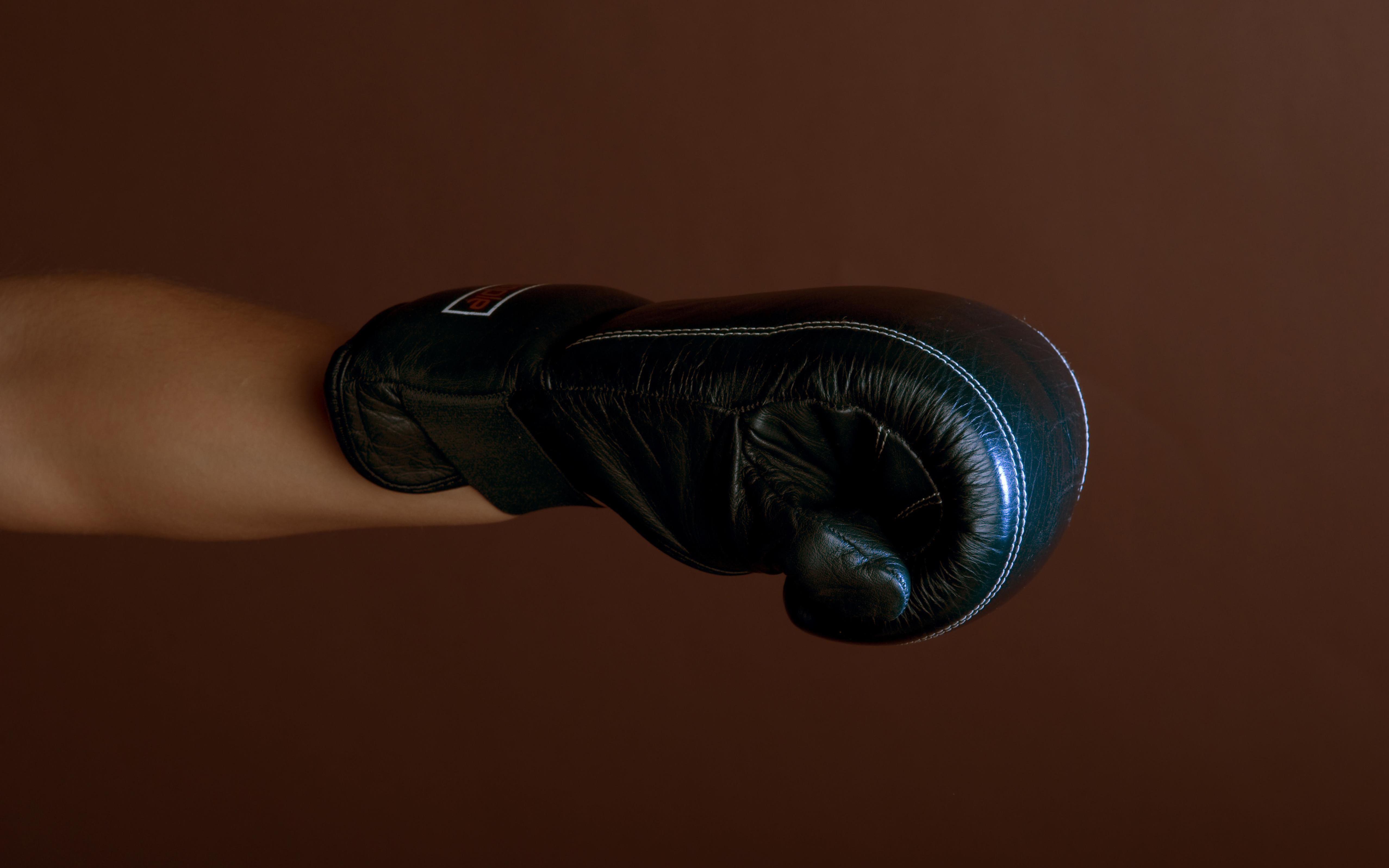 Фото:Боксерская перчатка (global look press)