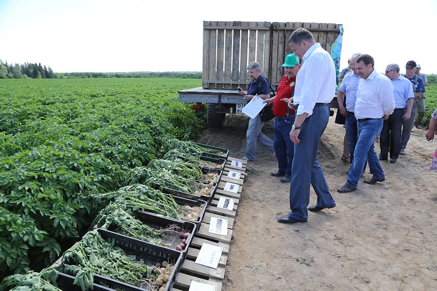 Пресс-служба правительства ВО