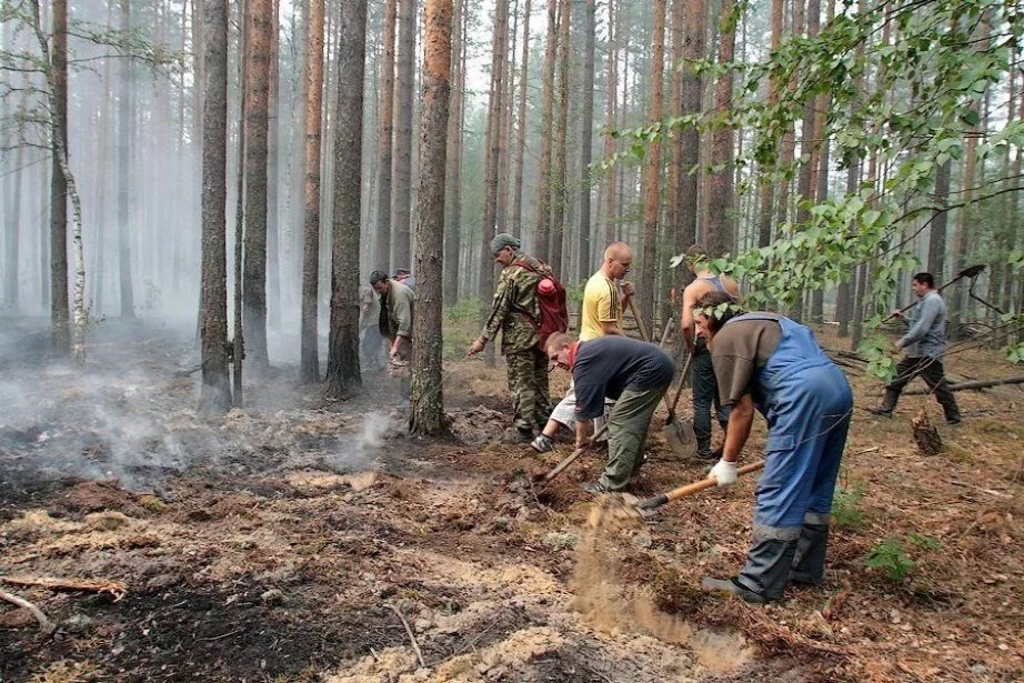 Пресс-служба правительства Хабаровского края