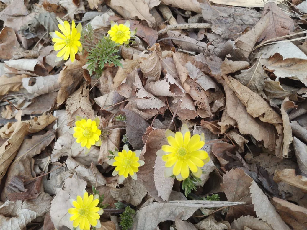 РБК Приморье