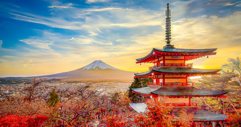 Фото: Shutterstock