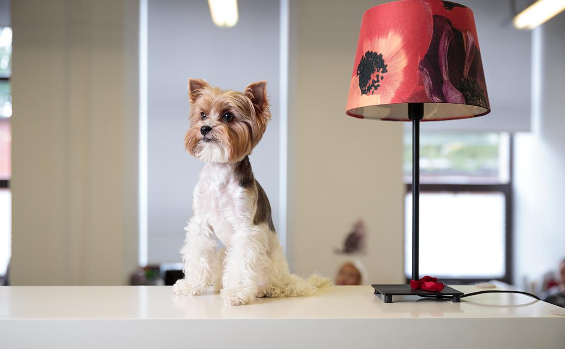 Фото: Владислав Шатило / РБК