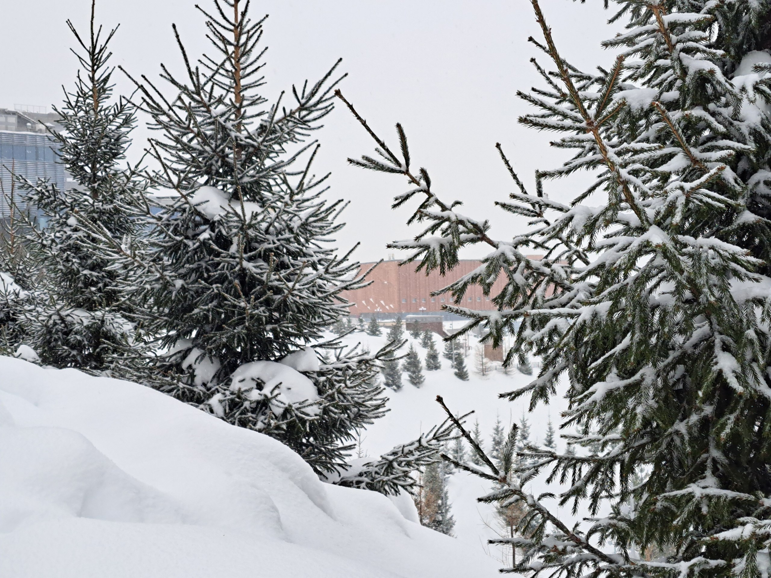 В Татарстане объявили штормовое предупреждение из-за снега и метели