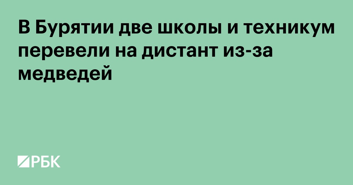 В Бурятии две школы и техникум перевели на дистант из-за медведей