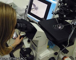 Японские медики научились лечить паралич зеркалами