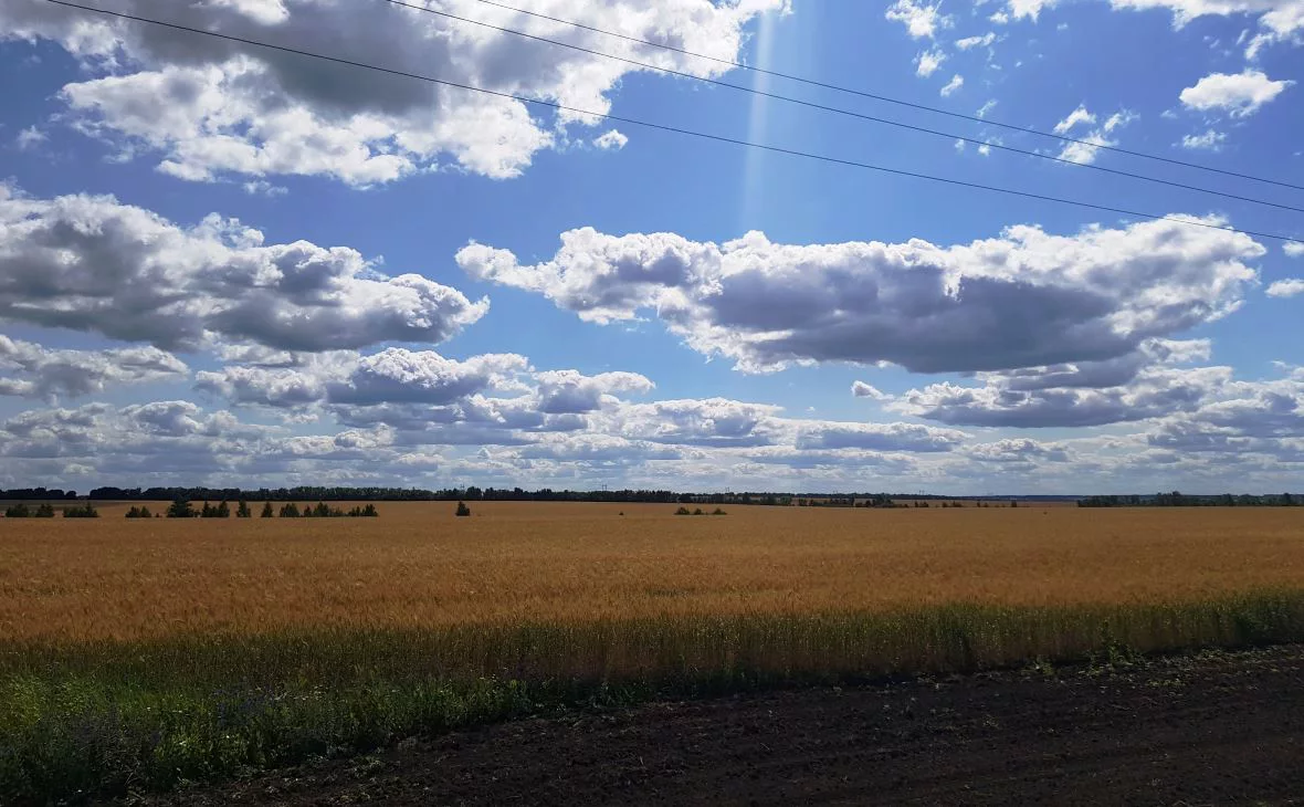 РБК Черноземье