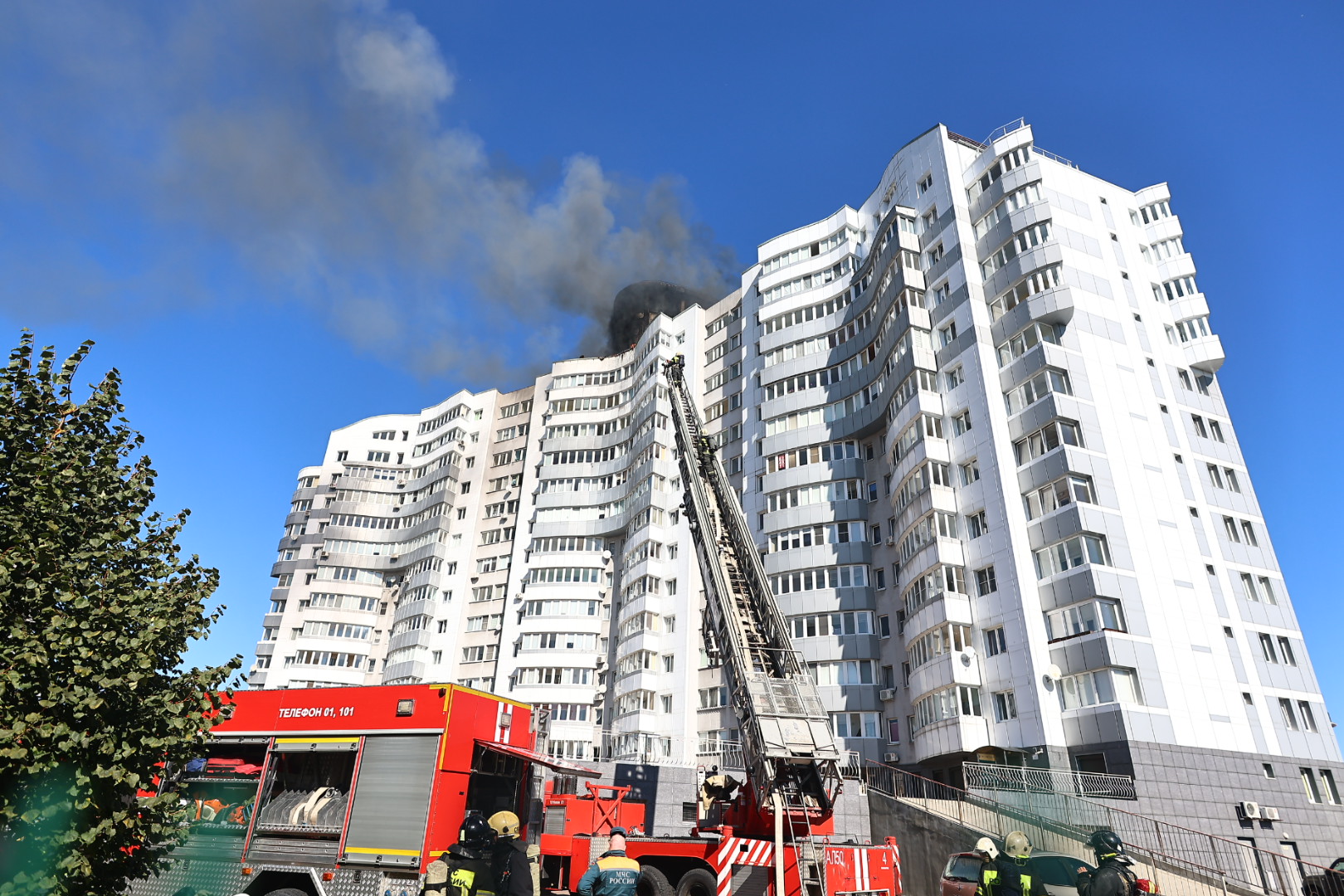 Фото: Александр Подгорчук