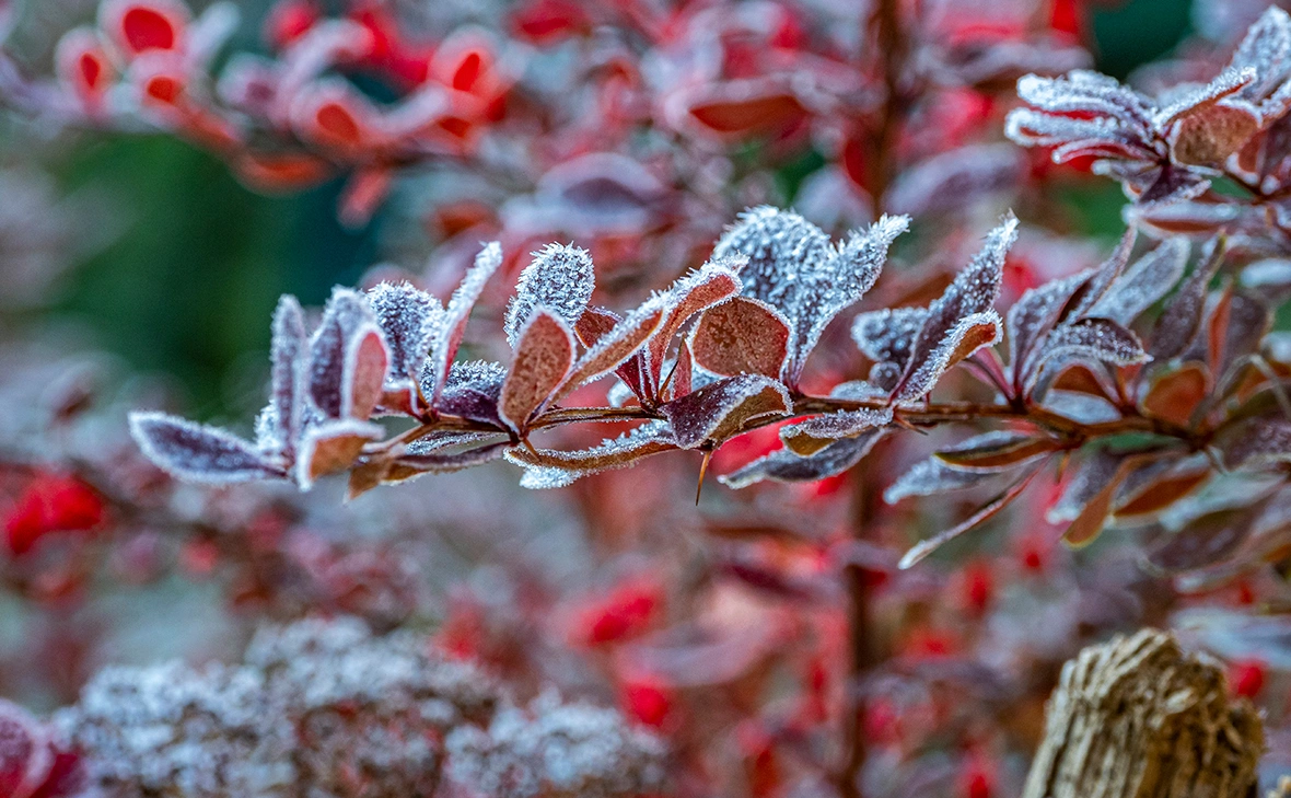 Константин Кокошкин / Global look Press